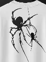 1.3.webp